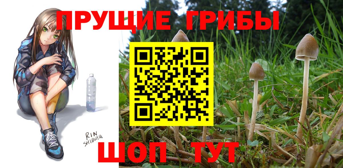 Псилоцибиновые грибы ЛСД  Вход с VPN  Новоалександровск 